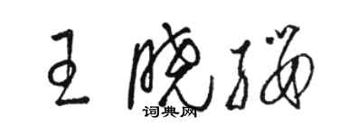 駱恆光王曉纓草書個性簽名怎么寫