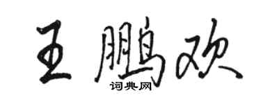 駱恆光王鵬歡行書個性簽名怎么寫