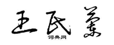 曾慶福王民蘭草書個性簽名怎么寫