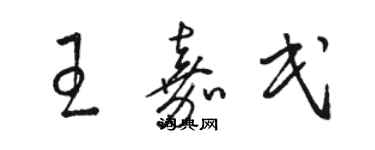 駱恆光王嘉民草書個性簽名怎么寫