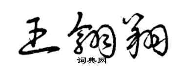 曾慶福王翎翔草書個性簽名怎么寫