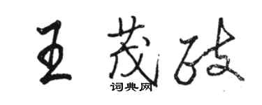 駱恆光王茂政行書個性簽名怎么寫