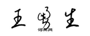 梁錦英王勇生草書個性簽名怎么寫