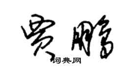 朱錫榮賈鵬草書個性簽名怎么寫