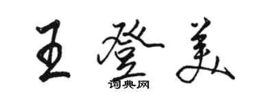 駱恆光王登美行書個性簽名怎么寫