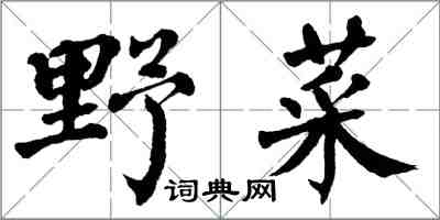 翁闓運野菜楷書怎么寫