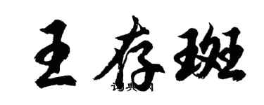 胡問遂王存斑行書個性簽名怎么寫