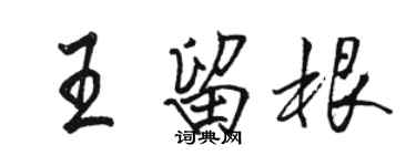 駱恆光王留根行書個性簽名怎么寫