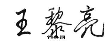 駱恆光王黎亮行書個性簽名怎么寫