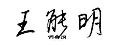 王正良王能明行書個性簽名怎么寫