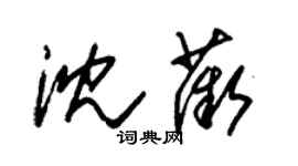 朱錫榮沈薇草書個性簽名怎么寫