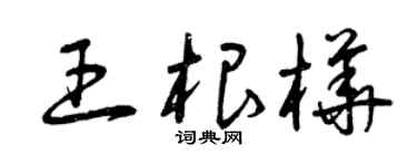 曾慶福王根樺草書個性簽名怎么寫