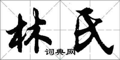 胡問遂林氏行書怎么寫