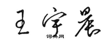 駱恆光王宇晨草書個性簽名怎么寫