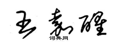 朱錫榮王嘉醒草書個性簽名怎么寫