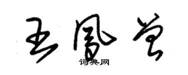 朱錫榮王鳳曾草書個性簽名怎么寫