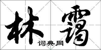 胡問遂林靄行書怎么寫