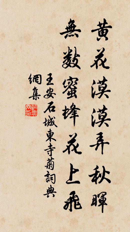 山寒更宜遠，江流復沄沄 詩詞名句