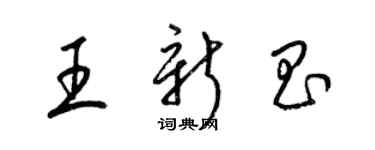 梁錦英王新昌草書個性簽名怎么寫