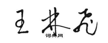 駱恆光王林飛草書個性簽名怎么寫