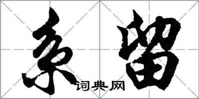 胡問遂系留行書怎么寫