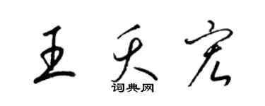 梁錦英王夭宏草書個性簽名怎么寫