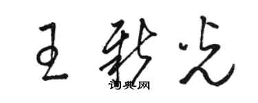駱恆光王新光草書個性簽名怎么寫