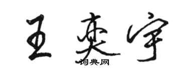駱恆光王奕宇行書個性簽名怎么寫