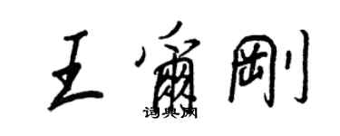 王正良王爾剛行書個性簽名怎么寫