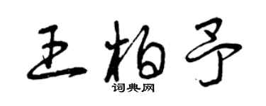 曾慶福王柏予草書個性簽名怎么寫