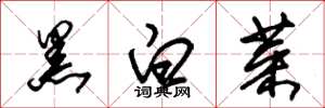 朱錫榮黑白菜草書怎么寫