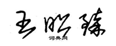 朱錫榮王昭臻草書個性簽名怎么寫