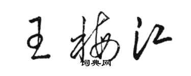 駱恆光王梅江草書個性簽名怎么寫