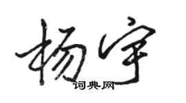 駱恆光楊宇行書個性簽名怎么寫
