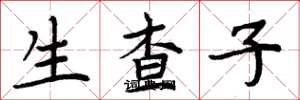 周炳元生查子楷書怎么寫