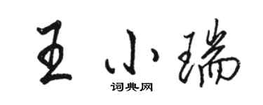 駱恆光王小瑞行書個性簽名怎么寫