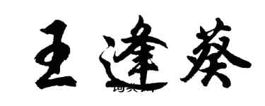 胡問遂王逢葵行書個性簽名怎么寫