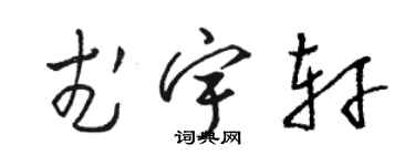 駱恆光武宇軒草書個性簽名怎么寫