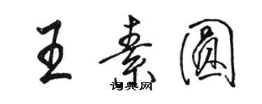 駱恆光王素圓行書個性簽名怎么寫