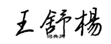 王正良王舒楊行書個性簽名怎么寫