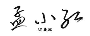 駱恆光孟小紅草書個性簽名怎么寫