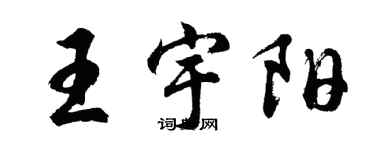 胡問遂王宇陽行書個性簽名怎么寫