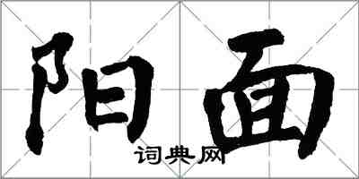 翁闓運陽面楷書怎么寫