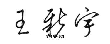 駱恆光王新宇草書個性簽名怎么寫