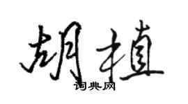 駱恆光胡植行書個性簽名怎么寫