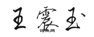 駱恆光王震玉行書個性簽名怎么寫