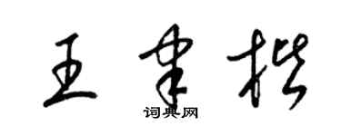 梁錦英王聿楷草書個性簽名怎么寫