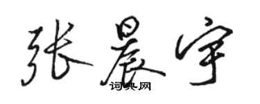 駱恆光張晨宇行書個性簽名怎么寫