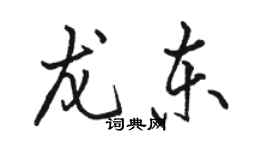 駱恆光龍東行書個性簽名怎么寫