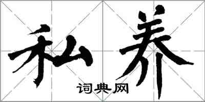 翁闓運私養楷書怎么寫